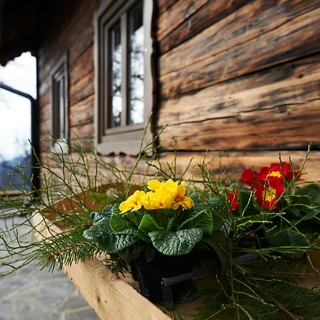 Ski Peneze Apartament Vitanje